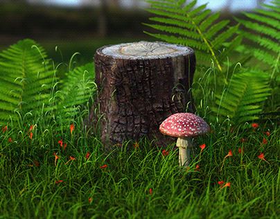 Fungus and stump