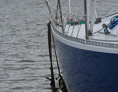 Marina Life on the Chesapeake Bay