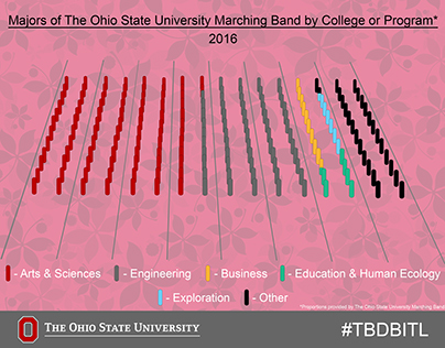 Majors of the OSUMB Infographic