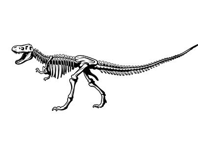 Dinosaur Skeleton Vector