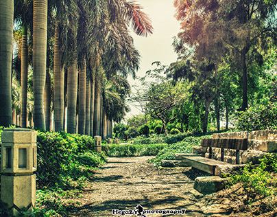 Landscape - Azhar Park