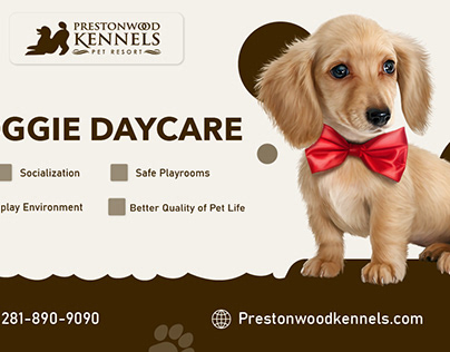 Doggie Daycare for Every Pup