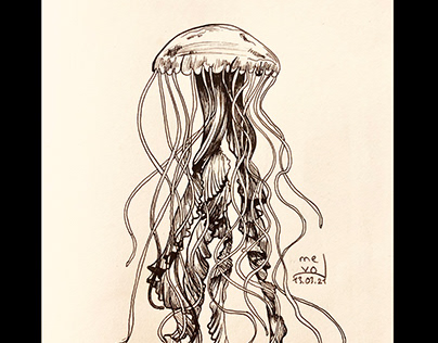 █ ▇ ▆ ▅ Jellyfish