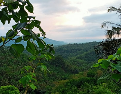views at cimendah. west Java. indonesian