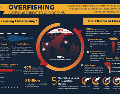 Overfishing Infographic Project 4