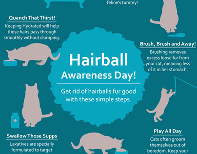 Hairball Awareness