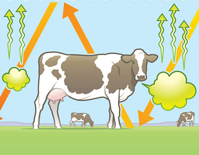 Reducing Methane Production in Cows