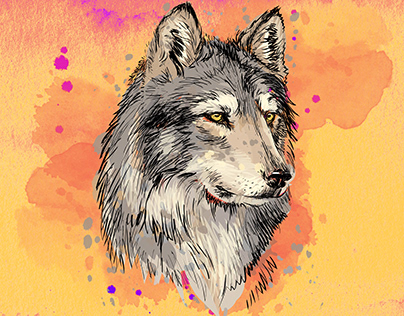 Desktop colorful background with wolf