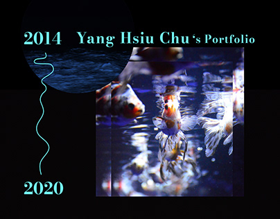 2014-20 Portfolio