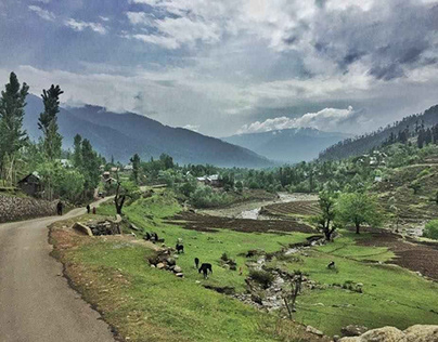Enchanting Lolab Valley: Kashmir's Hidden Sanctuary