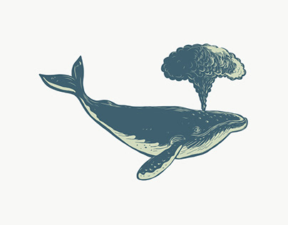 Humpback Whale Blowing Water Scratchboard