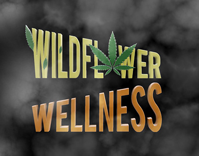 Wildflower Wellness Logo Motion Series 2024