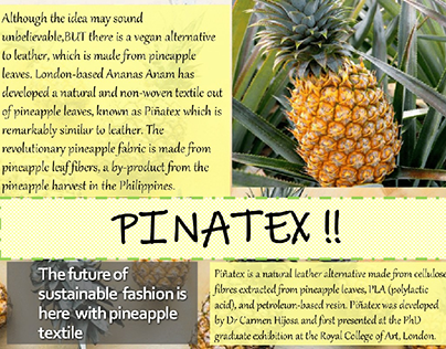 pinatex/ pineapple textile 🍍