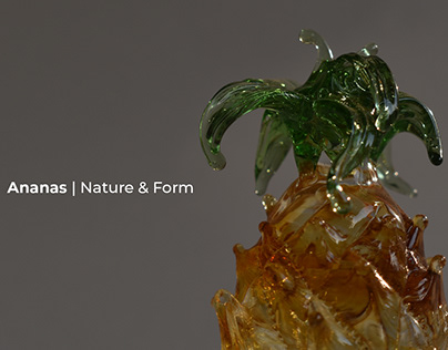 Project thumbnail - Ananas | Nature & Form
