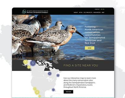 CEC Seabirds Website www.nashorebirds.org