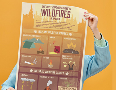 Wildfires Infographic