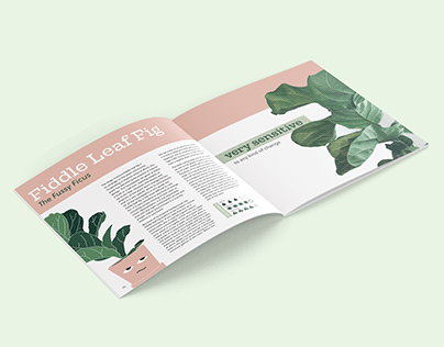 Please Don't Die: Plant Care Brochure