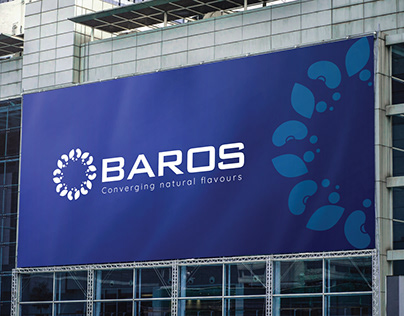 Baros: Logo, Website & Brand Identity