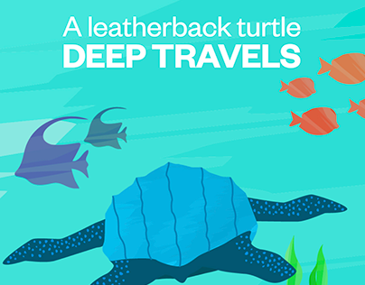 Deep Travels - A Leatherback Turtle