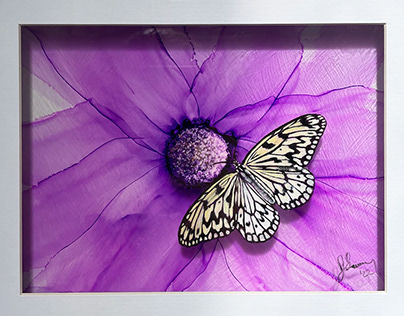 Ombre butterfly on purple
