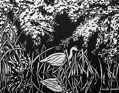 Illustration linogravure cygne, étang, reflet de l'eau