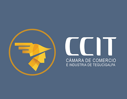 CCIT Tegucigalpa // TV & Radio