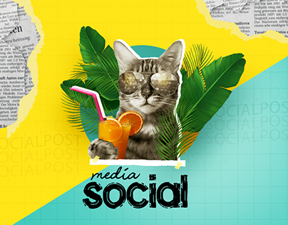Social Media Design - National Foods Egypt