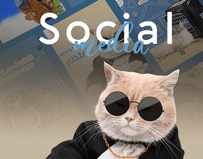 Cat supplies store (social media designs)