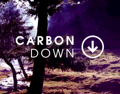Carbon Down