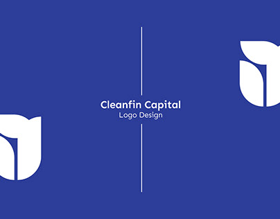CleanFin Capital