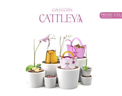 Colección Cattleya Ganador PMH 2023
