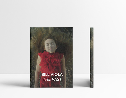 Bill Viola: The Vast