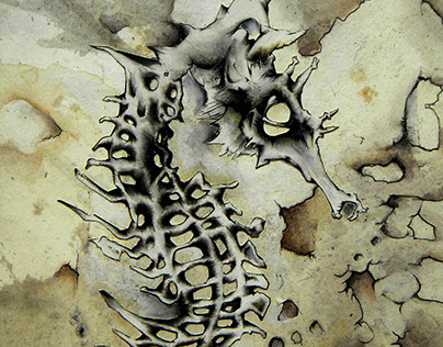 Seahorse Skeleton
