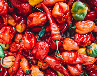 Peppers are an excellent crop to grow.