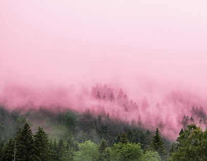 Pink mist