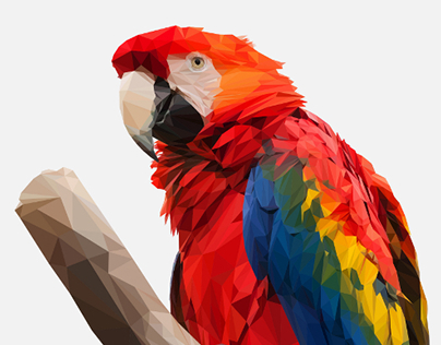 Beautiful Scarlet Macaw Low Poly Illustration
