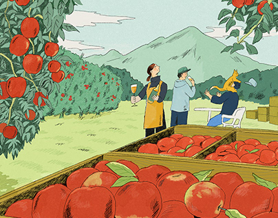 Apple Harvest りんごの収穫