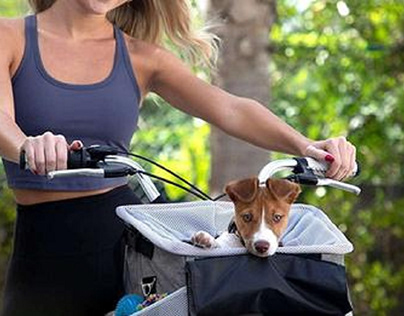Best Dog Basket For Bike