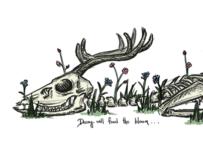 Oh deer! - Illustration