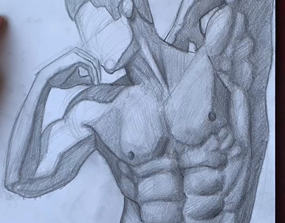 Male anatomy