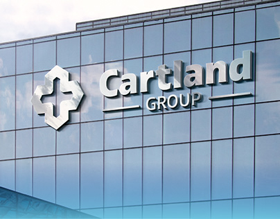 Project thumbnail - Unveiling the Digital Identity of Cartland Group