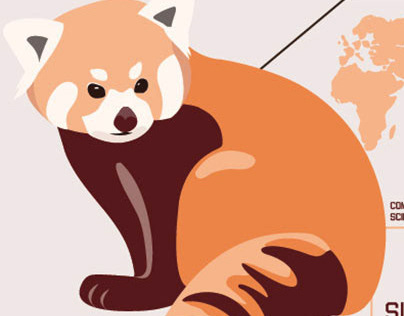 INFOGRAHPIC [Red panda]