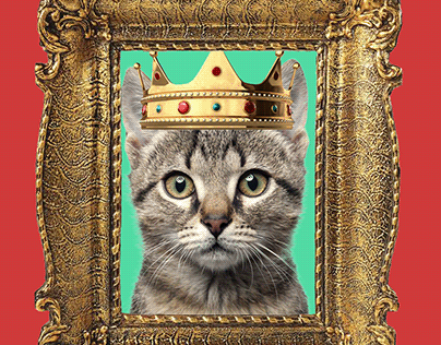 Cat King