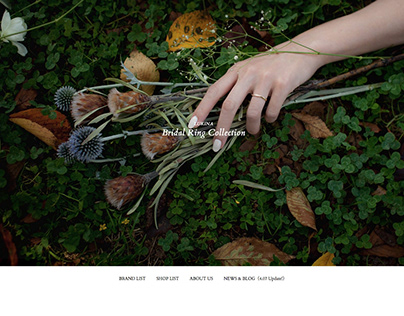 LUKINA Bridal Collection / Web design, Photograph