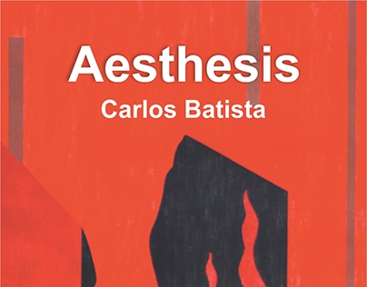 Capa catálogo exposição "Aesthesis"