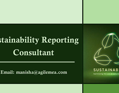 Sustainability Reporting Consultant