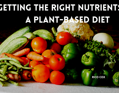 Getting the Right Nutrients on a Plant-Based Diet