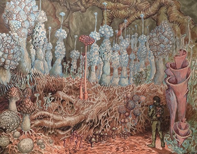 Fungi illustration