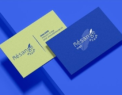 Logo Mésange Bleue - studio fitness