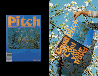 Pitch by magazine